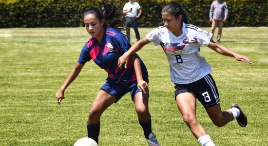 Free photo of jogando esporte bola esfera